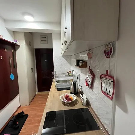 Cogan - 100m From Gondola - Brzece * كوباونيك